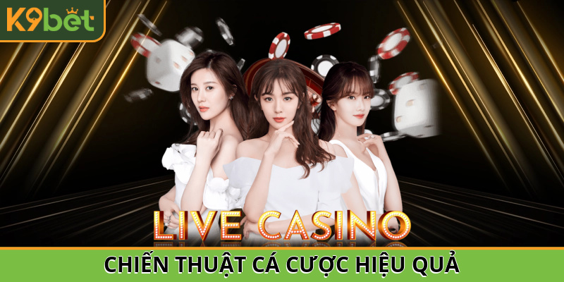 Chiến thuật cá cược hiệu quả