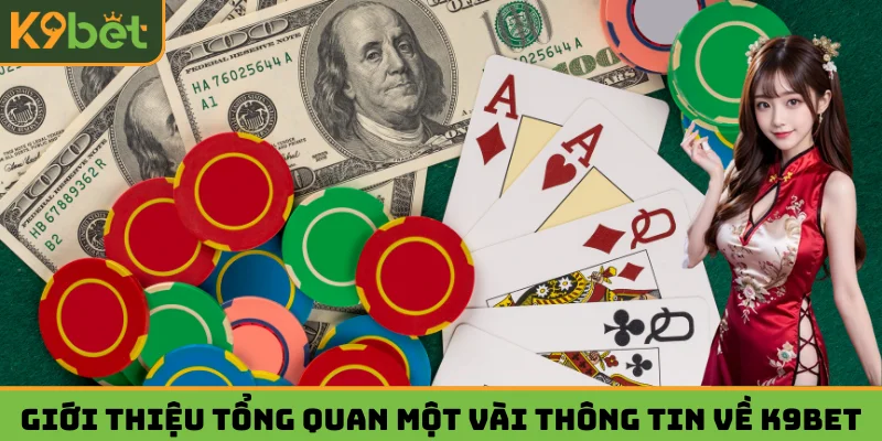 Giới thiệu tổng quan một vài thông tin về K9BET