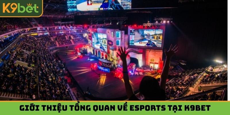 Giới thiệu tổng quan về esports tại k9bet