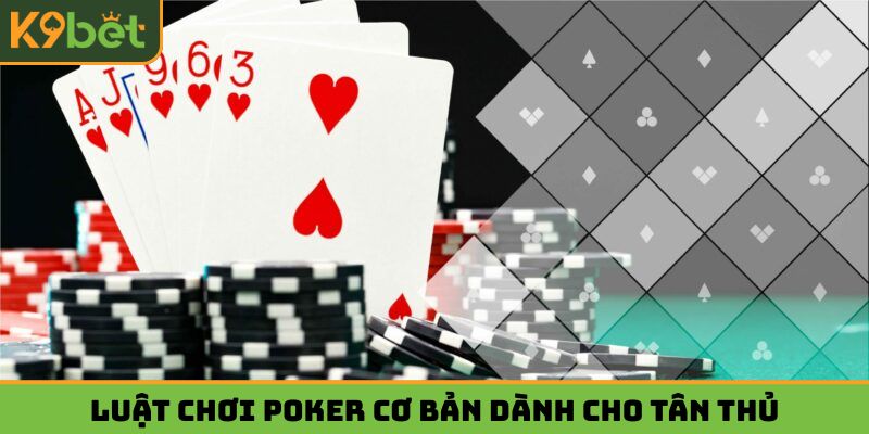 Luật chơi Poker cơ bản tân thủ nào cũng nên biết