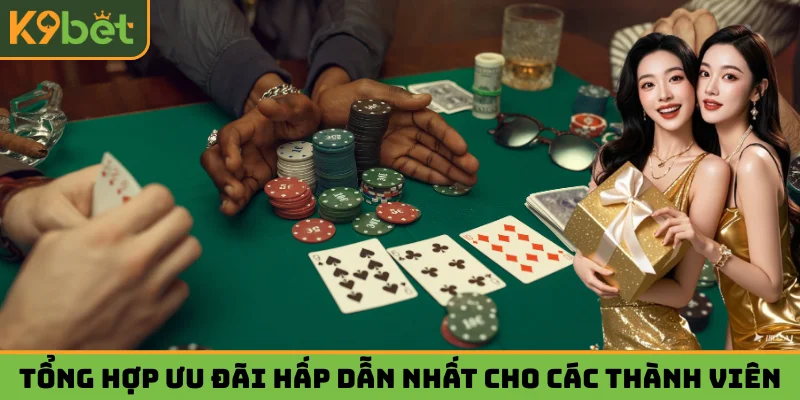 Tổng hợp ưu đãi hấp dẫn nhất dành cho các thành viên
